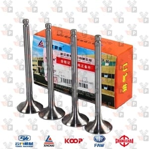 Zdjęcie produktu Zawór ssący Xinchai A490'495'A498BT1 